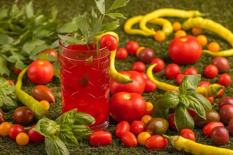 Glass of tomato juice surrounded by tomatoes, chilli peppers and herbs on grass