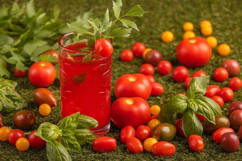 Glass with tomato juice surrounded by tomatoes and herbs on grass