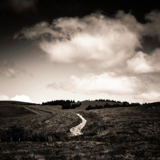 A winding path cuts through an expansive field leading toward a distant forested hill. Auvergne