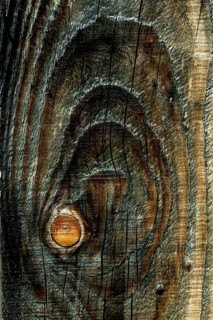 Detailed view of weathered wood reveals beautiful patterns and textures formed by years of natural