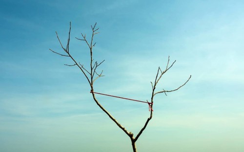 A lone tree with bare branches stands against a bright blue sky. A thin red string is tied to one