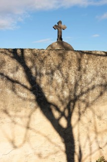 A striking shadow of a tree stretches across a weathered stone wall, while a cross is visible atop