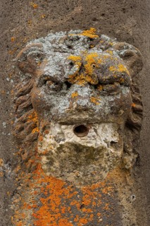 Stone lion carving adorns fountain featuring unique textures and vibrant colors in France