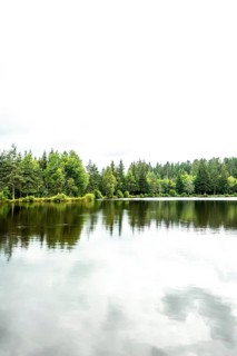 A peaceful lakeside scene showcases vibrant green trees surrounding a serene body of water. Puy de