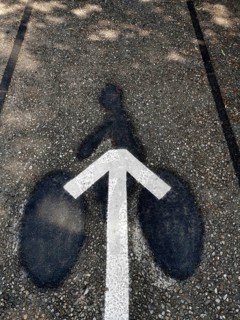 A well-defined bicycle lane marking stands out on the paved pathway, enhanced by the shadow of