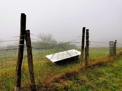 A rusted bathtub rests against a weathered fence, partially hidden by thick fog in a serene rural