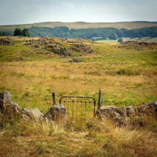 A rustic gate stands open, inviting visitors into a picturesque countryside landscape. Golden grass