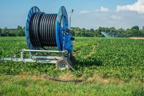 Agriculture, artificial irrigation of a field, irrigation system, sugar beet cultivation, Ystad