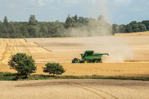 Landscape with threshing of grain with combine harvester at Ystad, Skåne county, Sweden,