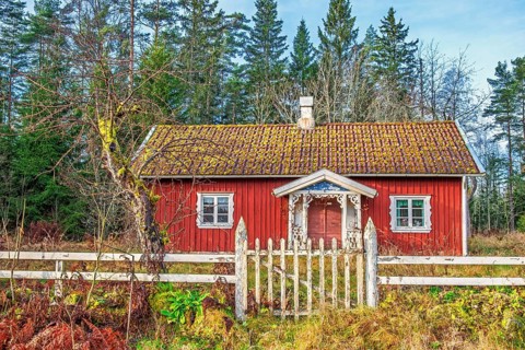 Red old wooden cottage with a white wooden fence and a gate to the garden by the forest in autumn,