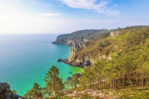 Sea view with the horizon at a rocky coastline with a pine forest a sunny summer day, Crozon