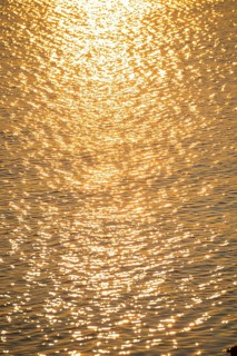 Olden sunlight is reflected by the water surface of the North Sea, natural glow, glow, highlights