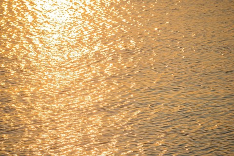 Golden sunlight is reflected by the water surface of the North Sea, natural glow, glow, highlights