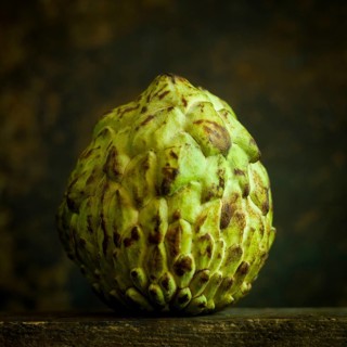 The sugar apple, known as annona squamosa, showcases its unique, scaly green exterior. This exotic