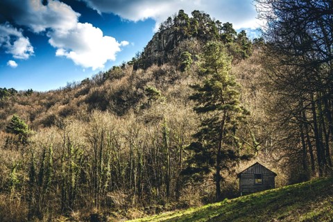 A wooden cabin stands alone in a sunny clearing, surrounded by bare trees and a rocky hill. The sky