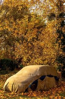 A car is concealed under a tarpaulin, positioned beneath a tree adorned with vibrant autumn leaves.