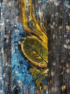 Vibrant blues and yellows stand out on weathered wooden planks, highlighting intricate patterns and