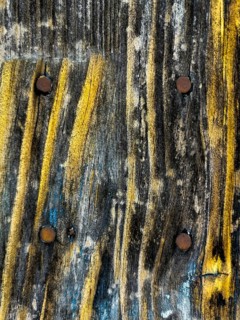 Detailed close-up shows an aged wooden surface featuring unique yellow streaks and rusty nails. The