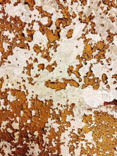 The surface displays an intricate pattern of peeling paint in warm earthy tones, showcasing signs