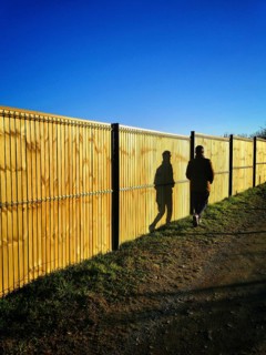 A solitary figure strolls beside a tall wooden fence on a well-worn path. The sun casts elongated