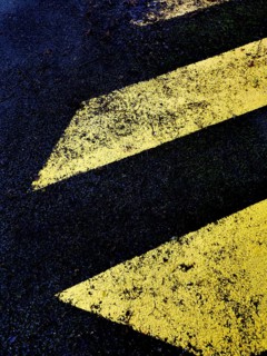 Bright yellow chevrons stand out against a dark asphalt surface, blending nature and urban elements