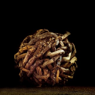 The artwork features a detailed spherical shape formed from intertwined twigs. Soft illumination