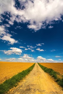Winding dirt path extends through golden fields in Puy de Dome, against vibrant blue sky with puffy