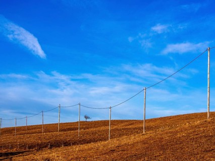A line of wooden electric poles stretches across a hillside in the Regional Nature Park of Volcans