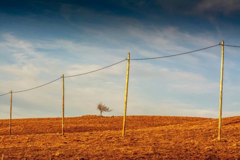 A row of wooden electric poles stretches across the golden hills of the Regional Nature Park of