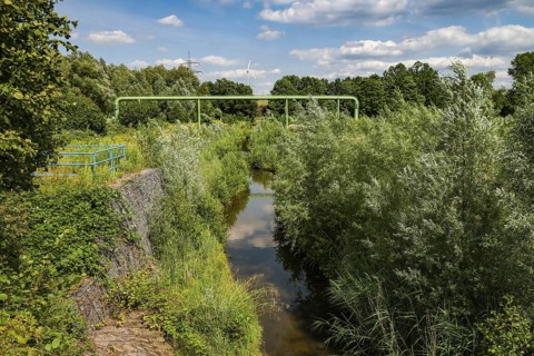 Bottrop, North Rhine-Westphalia, Germany - Renaturalised Boye, the tributary of the Emscher, has