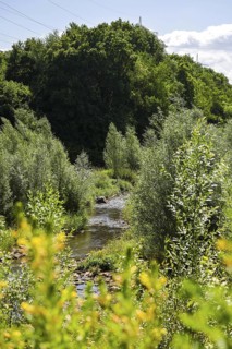 Bottrop, North Rhine-Westphalia, Germany - Renaturalised Boye, the tributary of the Emscher, was