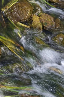 Bottrop, North Rhine-Westphalia, Germany - Renaturalised Boye, the tributary of the Emscher, has