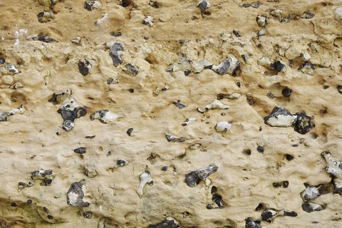 Chalk cliffs with flints, Etretat, Alabaster Coast, Seine-Maritime, Upper Normandy, France