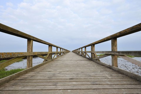 Wooden walkway in the Wadden Sea, Wadden Sea National Park, North Frisia, Schleswig-Holstein,