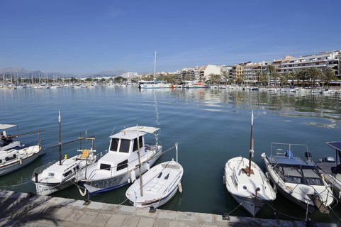 Boats in the harbour, Port d'Alcudia, Majorca, Balearic Islands, Spain