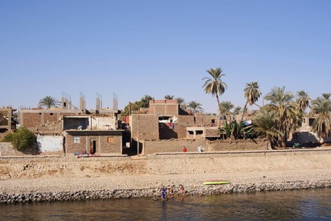 Houses and palm trees on the banks of the Nile, Egypt