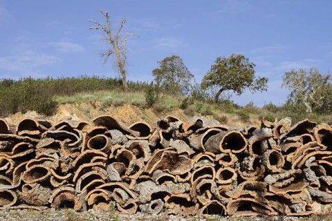 Stacked bark of the cork oak (Quercus suber), cork, Algarve, Portugal