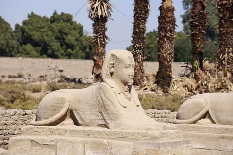 Sphinx, Luxor Temple, Luxor, Egypt