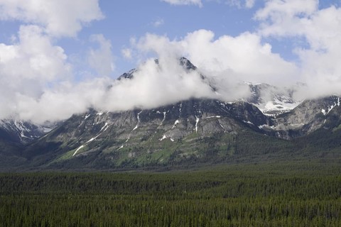 Mountain and clouds, Icefields Parkway, Jasper National Park, Alberta, Canada