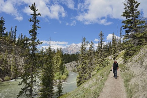 Hiking trail along the Maligne River, Maligne Canyon, Jasper National Park, Alberta, Canada