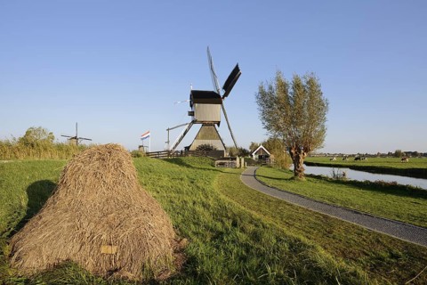 Historic windmill, UNESCO World Heritage Site, Kinderdijk, South Holland, Netherlands