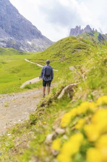 Man walking along a path leading through green meadows with foreground flowers, Alpe di Siusi,