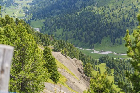 View of forested mountains with a river, green landscape under a sunny sky, Alpe di Siusi,