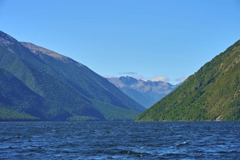 View over a lake between green mountains under a cloudless sky, summer, Lake Rotoiti, Saint Arnaud,