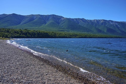 Pebble beach with waves, view of dense forests and mountain range, summer, Lake Rotoiti, Saint