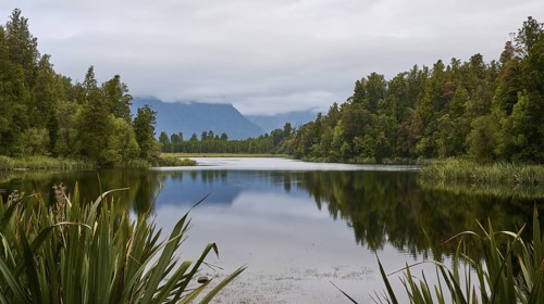 A long, winding lake surrounded by dense vegetation and mountains in the distance, summer, Lake