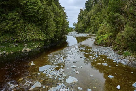 Shallow river with stones, surrounded by dense forest and cloudy sky, summer, Lake Matheson, Fox