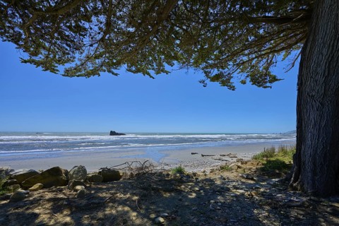 View from the beach to the sea under a tree with blue sky, Fox River, West Coast, South Island, New