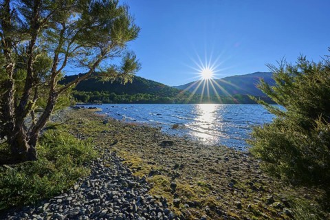 Sunbeams bathe the calm lake and the wooded shores in a warm light, summer, Lake Rotoiti, Saint