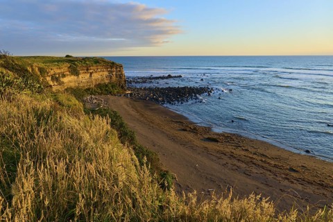 Steep coast with sandy beach in the evening, vegetation in the foreground, summer, Opunake,